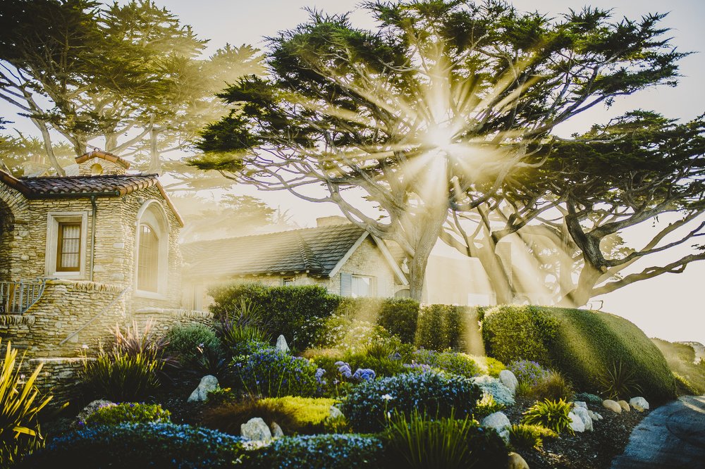 Photograph by Ruslan Pastushak