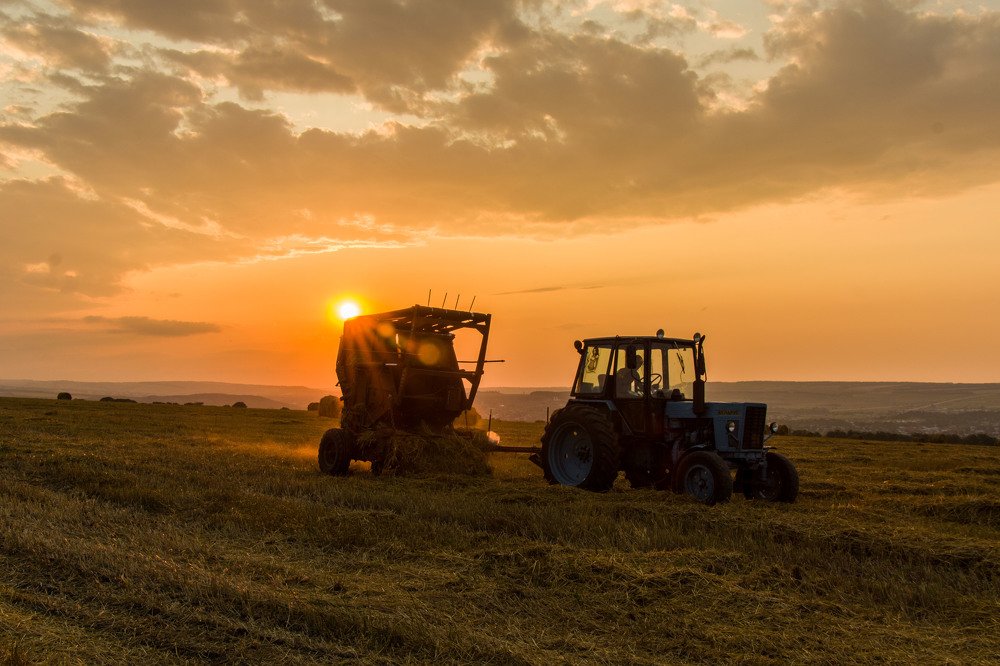 Работа в разгаре