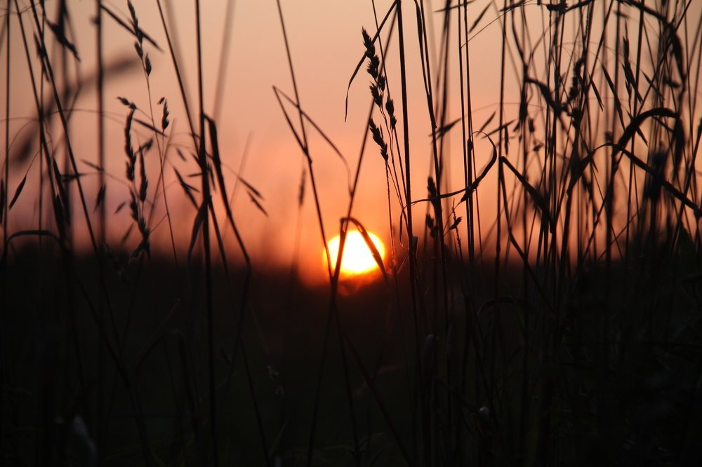 За уходящим днем