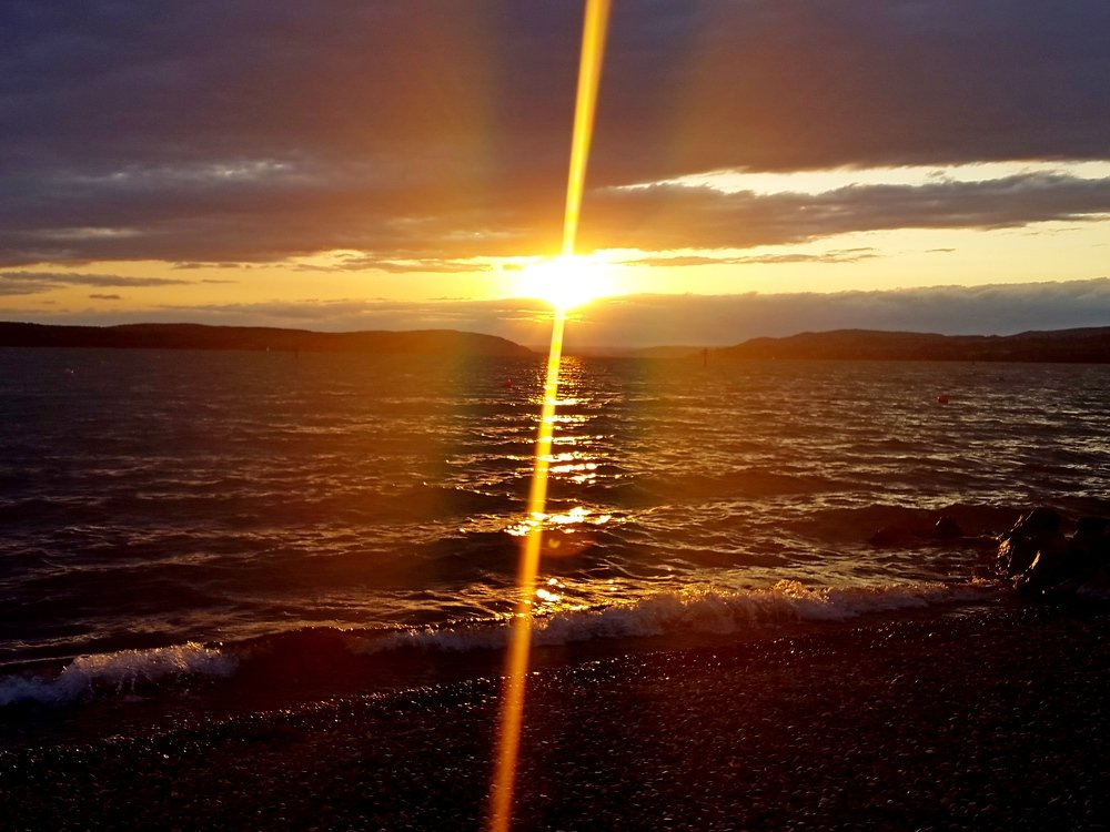 Photo #3458620
