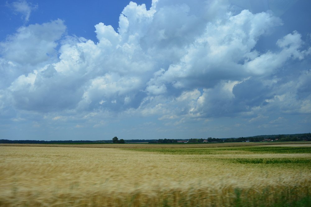 НАД Над жёлтым полем облака. Дороги БаварииЛТЫМ ПОЛЕ ОБЛАКА. дОРОГИ бАВАРИИ.