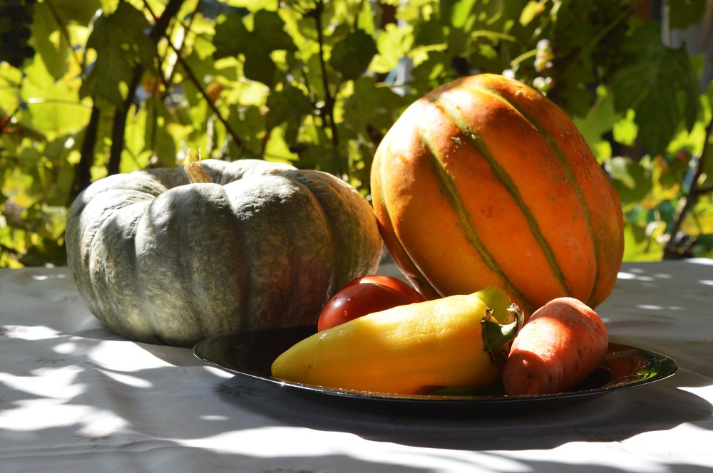 Натюрморт с жёлтой тыквой