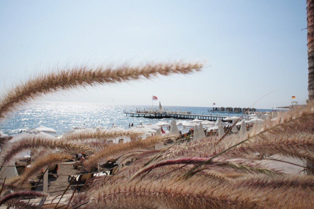 Слух ласкает, моря шум к себе взывает