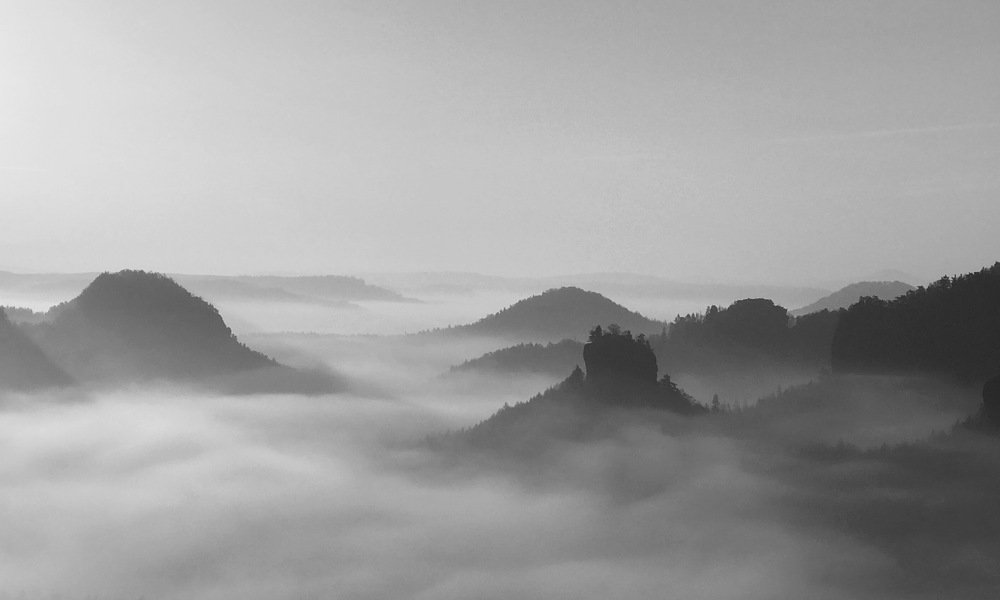 Рассвет Саксонии