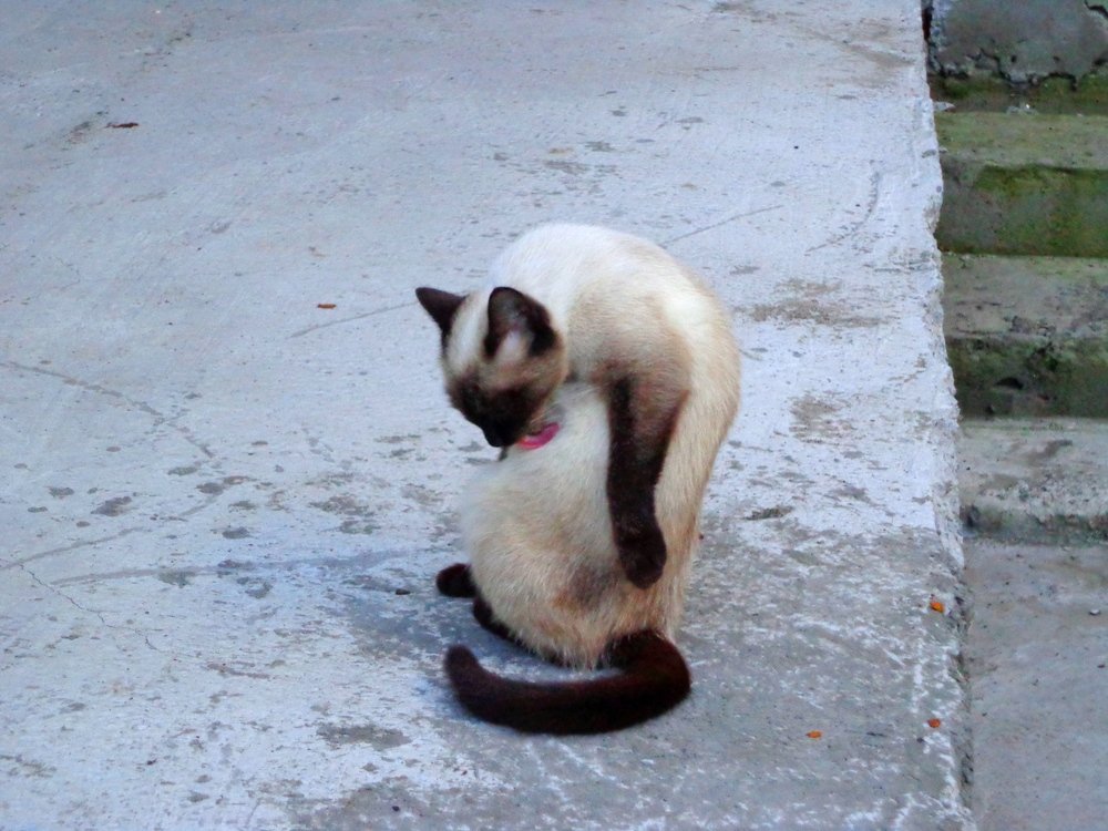 Чистота - залог здоровья