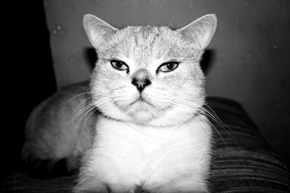 Photograph by Elena