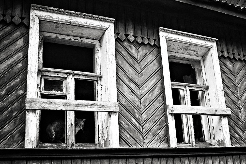 мертвого дома хозяин