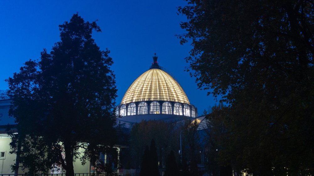 вид на павильон