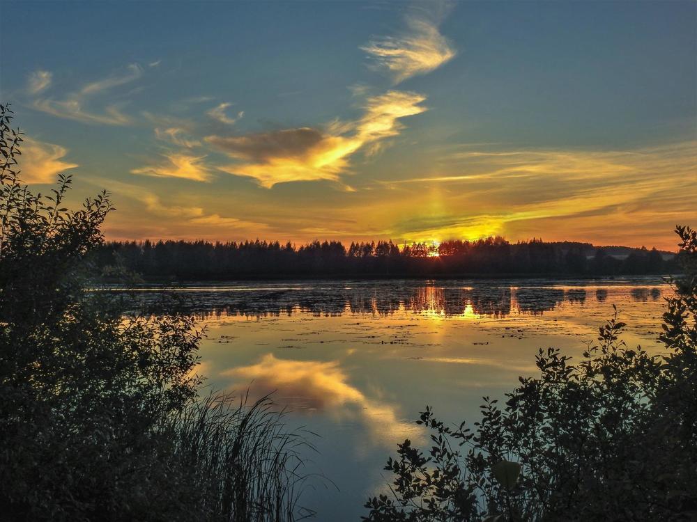 Красота природы