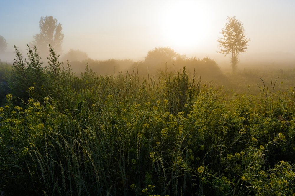 Фотография автора Андрей Серый