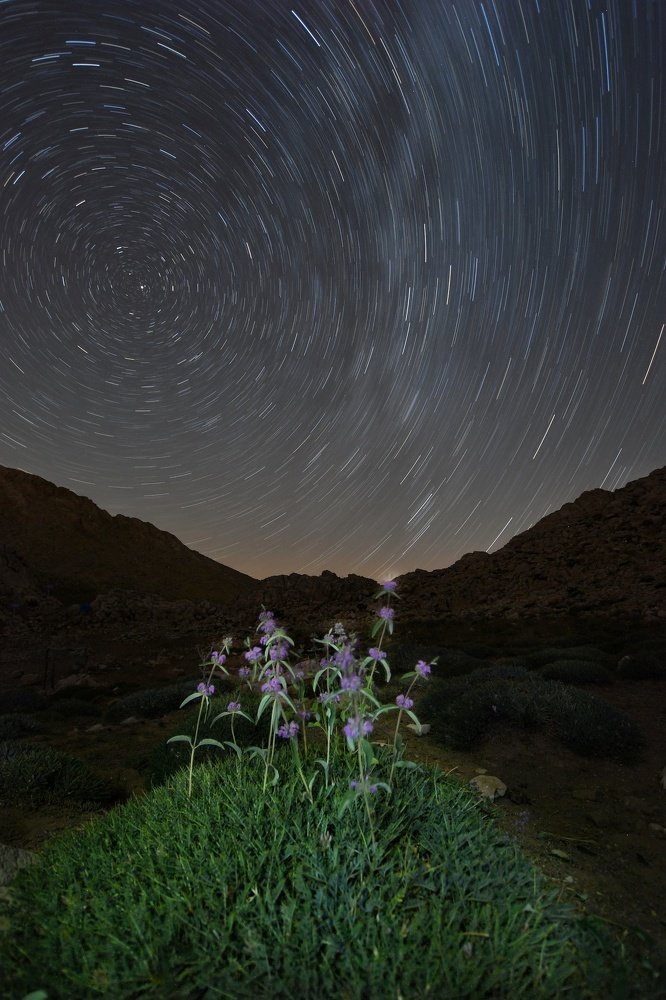 Photograph by Adl Abdolahi