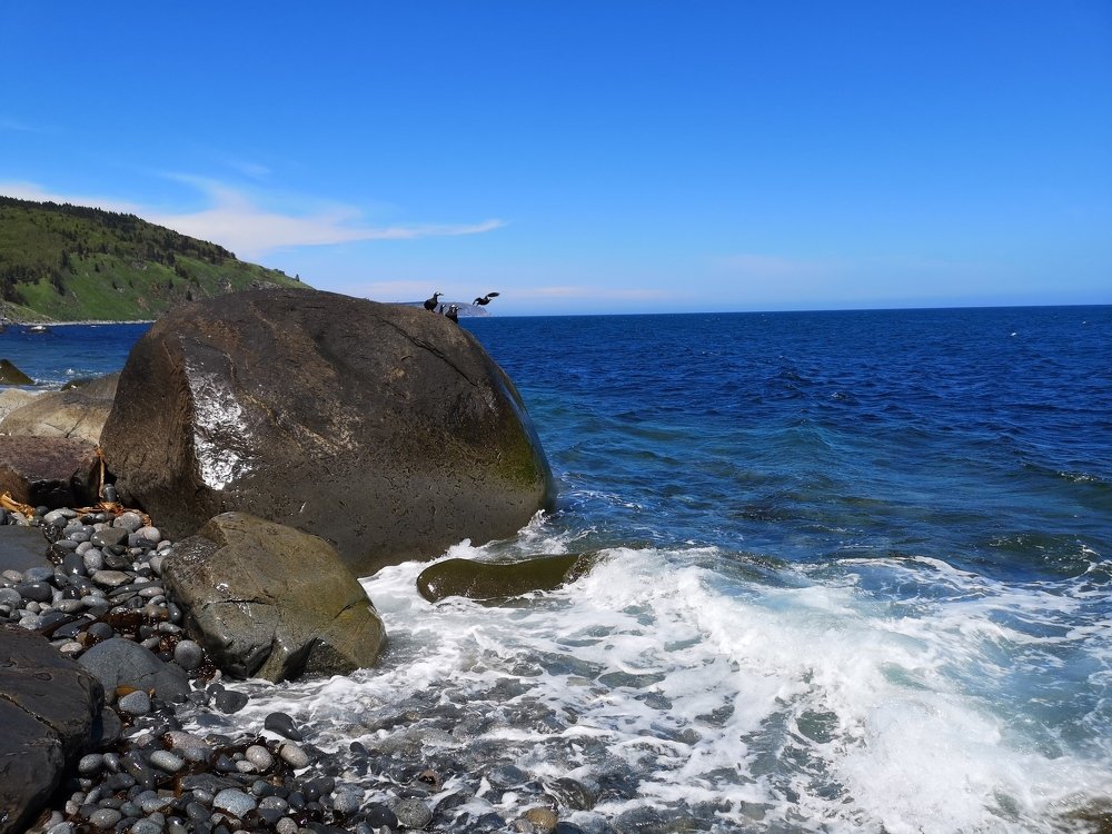 На берегу Татарского пролива