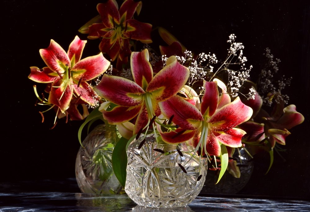 сноведение