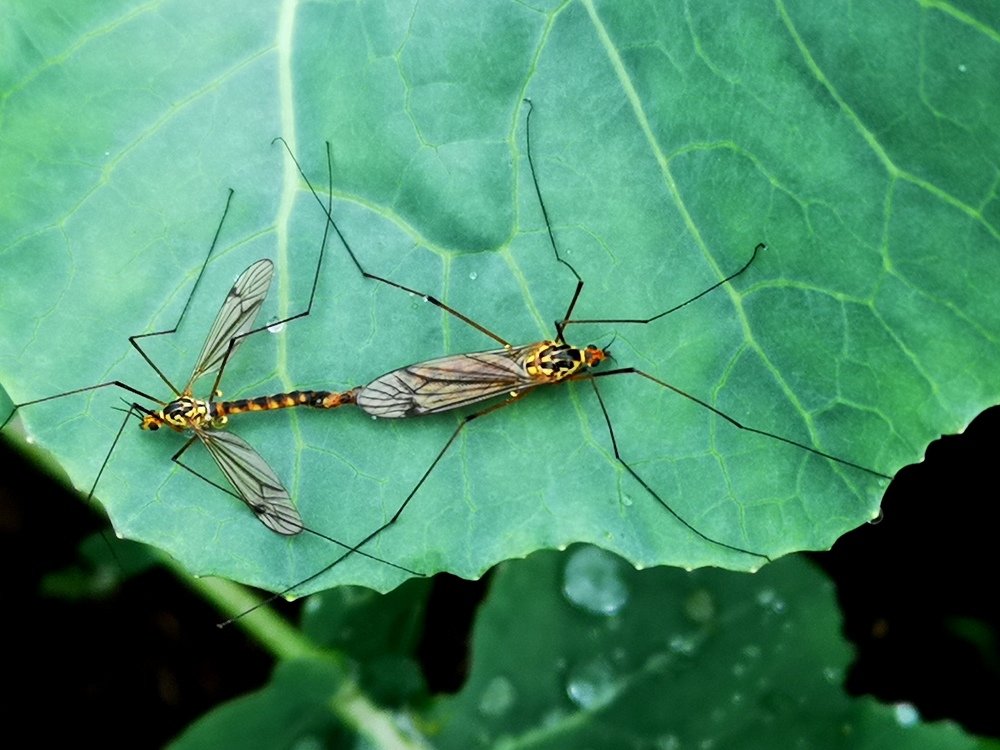 Жизнь продолжается