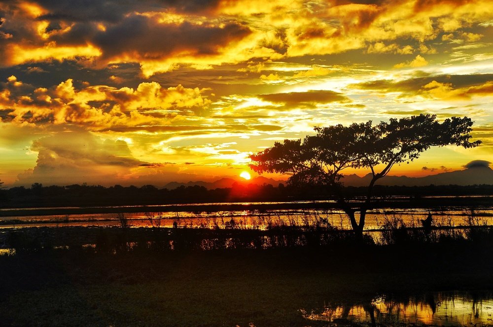 Sunset at Candaba swamp