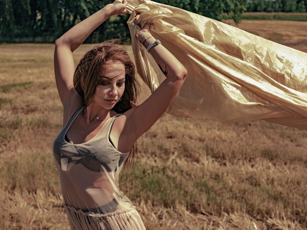 Голос птичьих стай