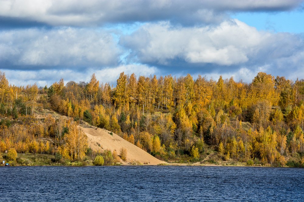Желтая осень