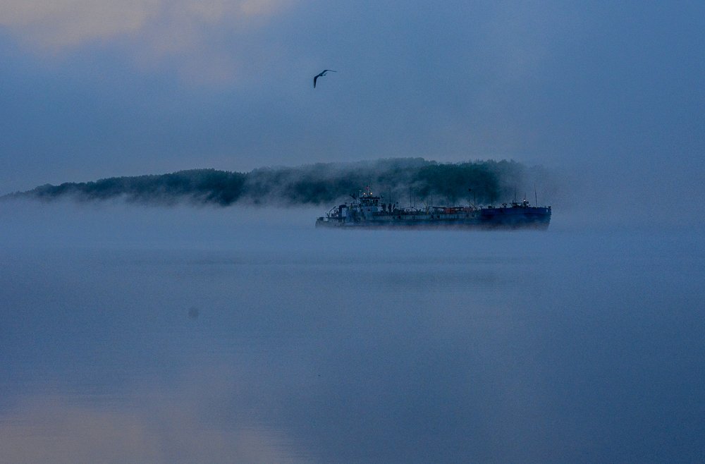 Утренний туман