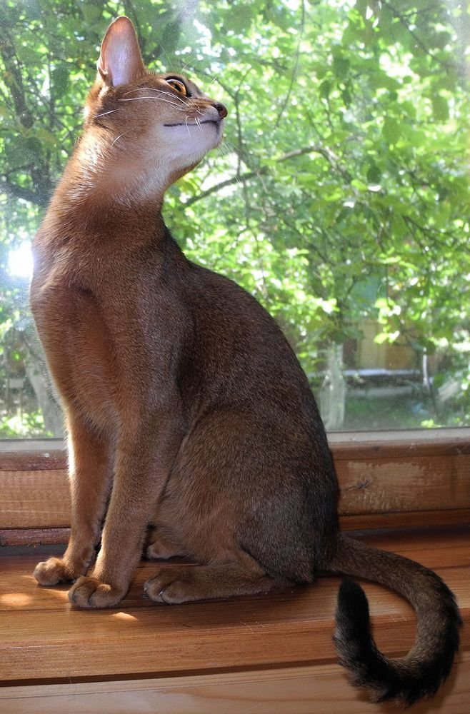 Photograph by Владимир Брагилевский