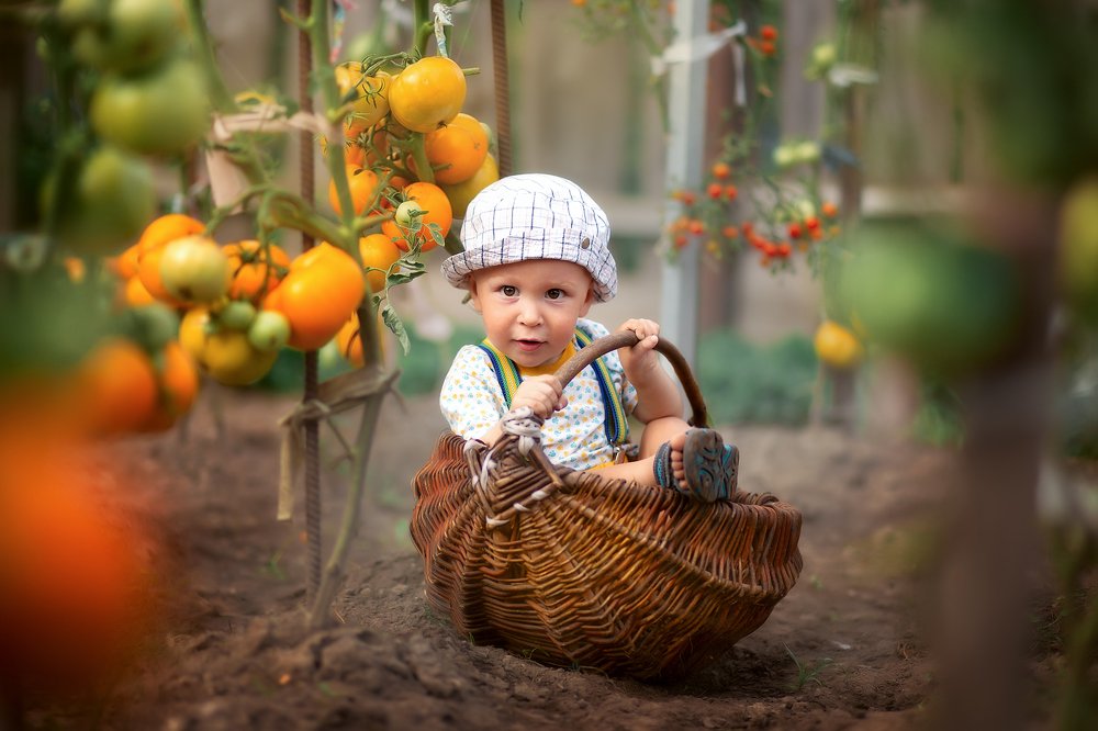 Мистер Бусинка