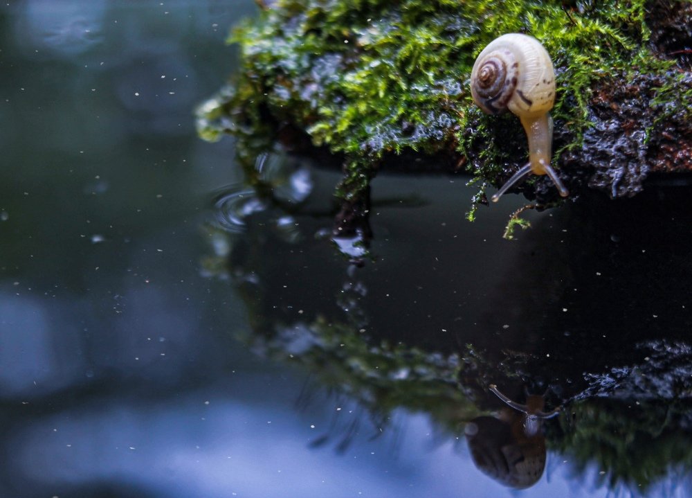 Остров желаний