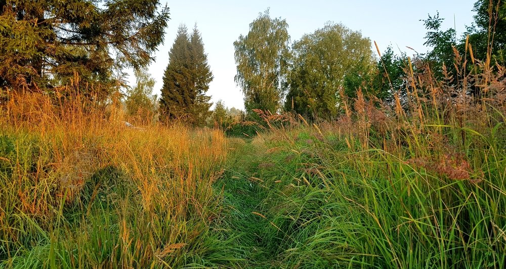 на рассвете