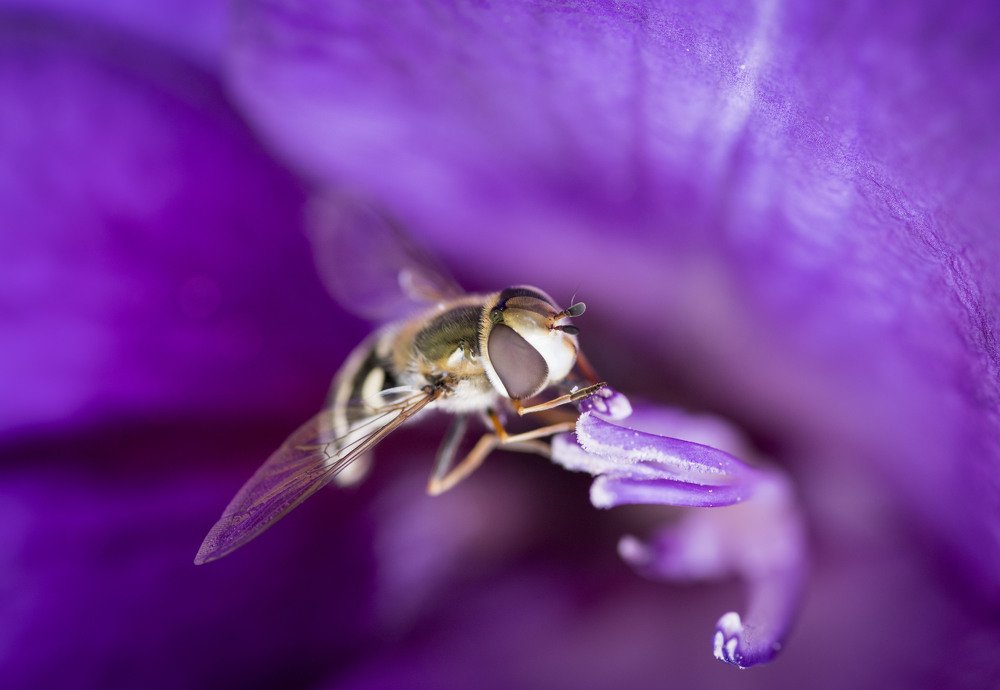 Photograph by Игорь Архипов