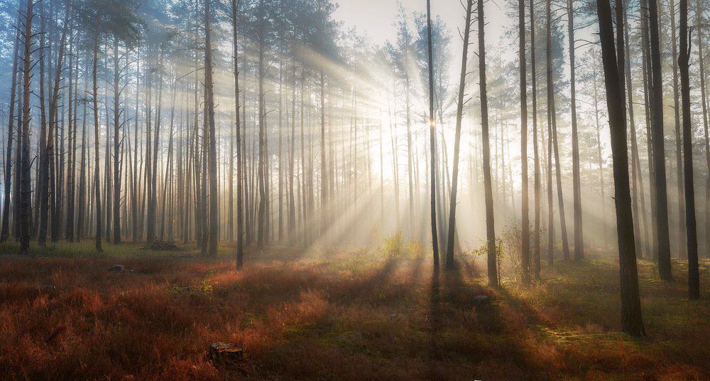 Photograph by Aeromast