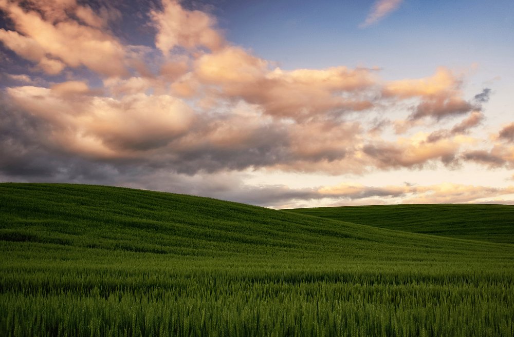 Photograph by Aeromast