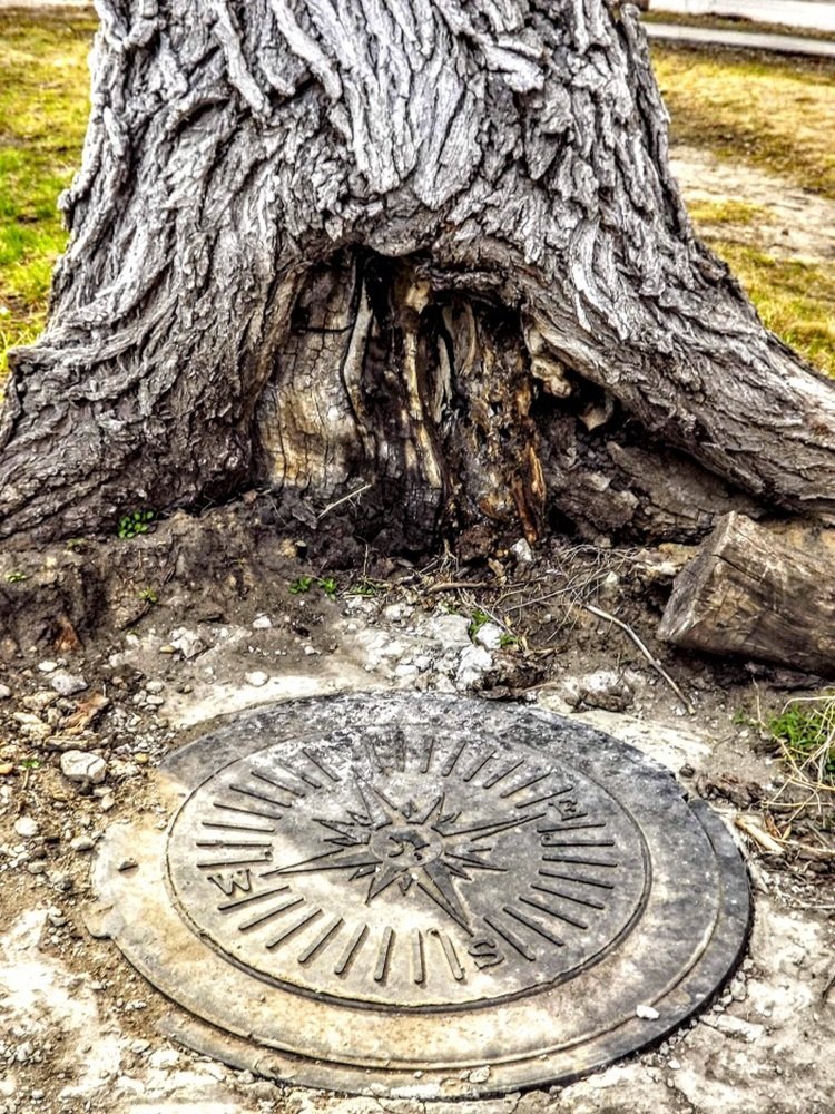 Photograph by Сергей Воронин