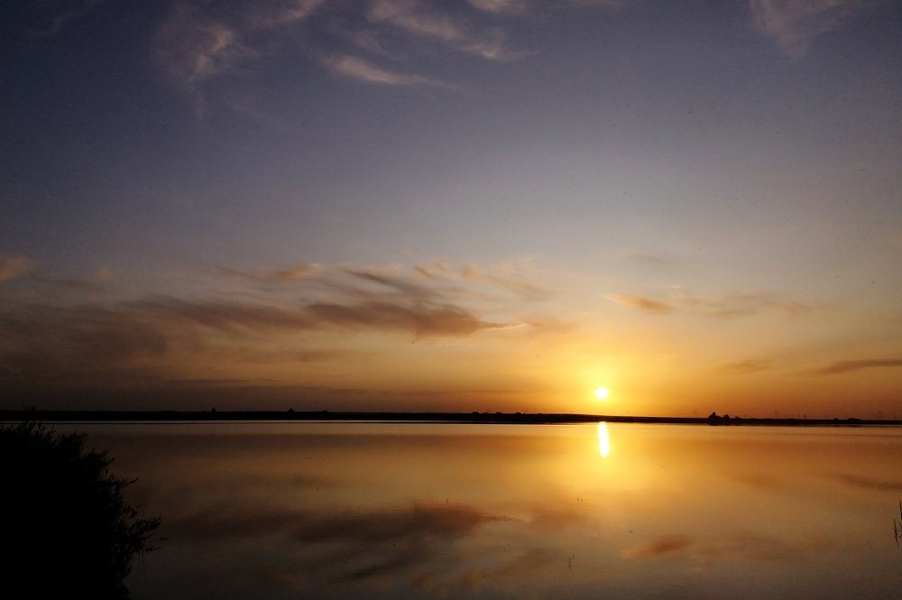 Photograph by Анастасия Койчина