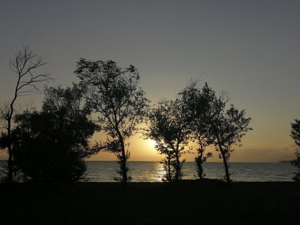 Sunset on the seashore