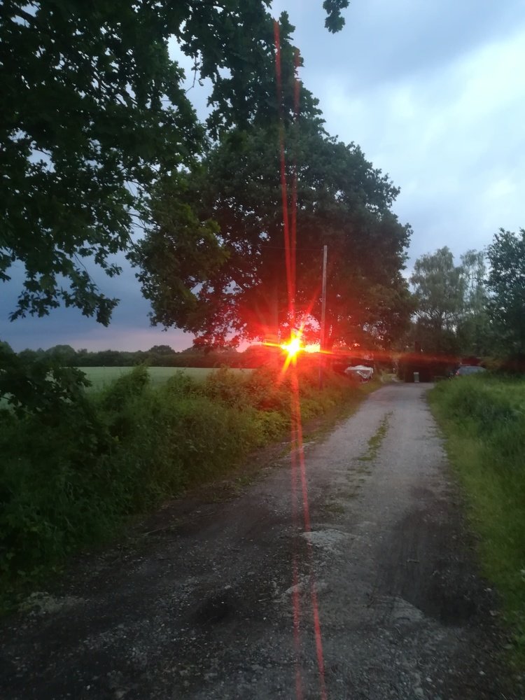Photo #3460404