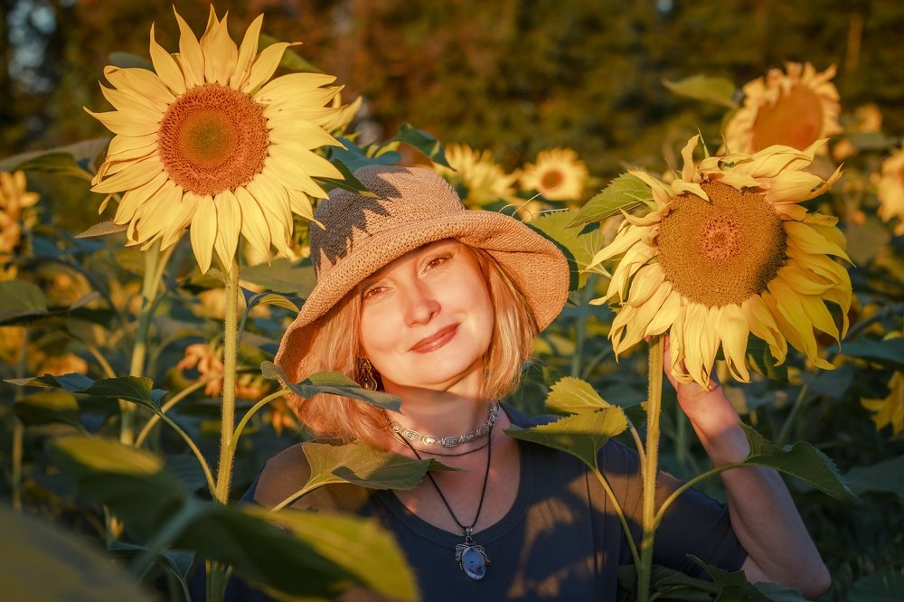 Подсолнухи.