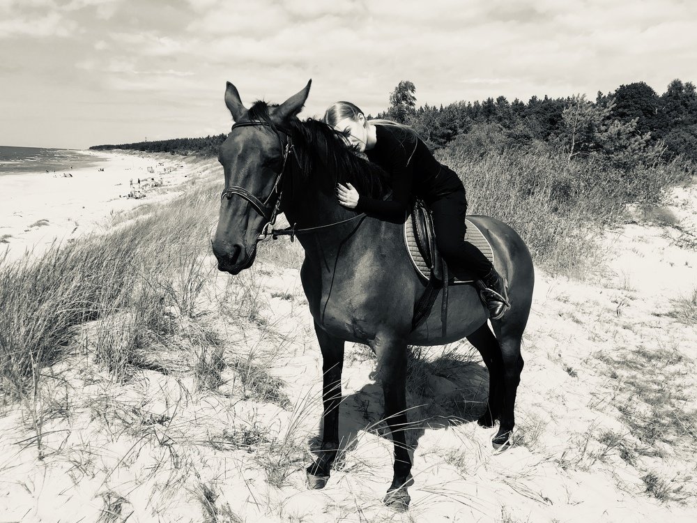 Первое знакомство.