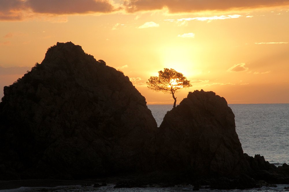 Photograph by Dzianis Mizhui