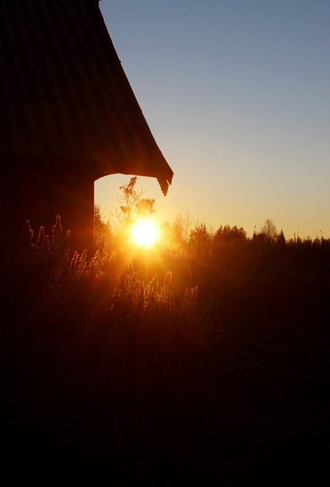 Деревенский рассвет