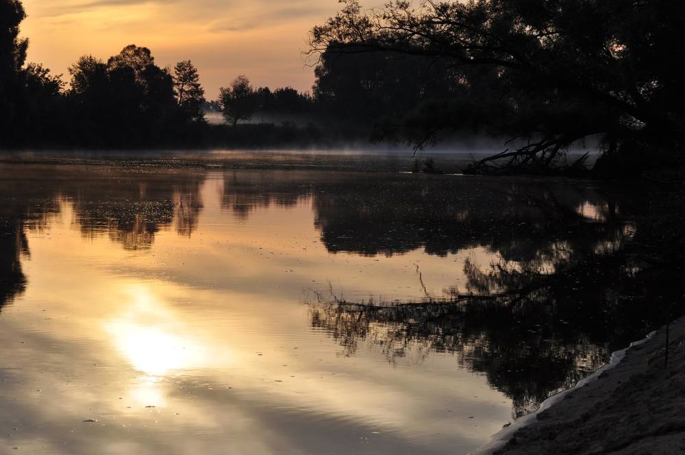 Фотография автора Дарья Шевченко