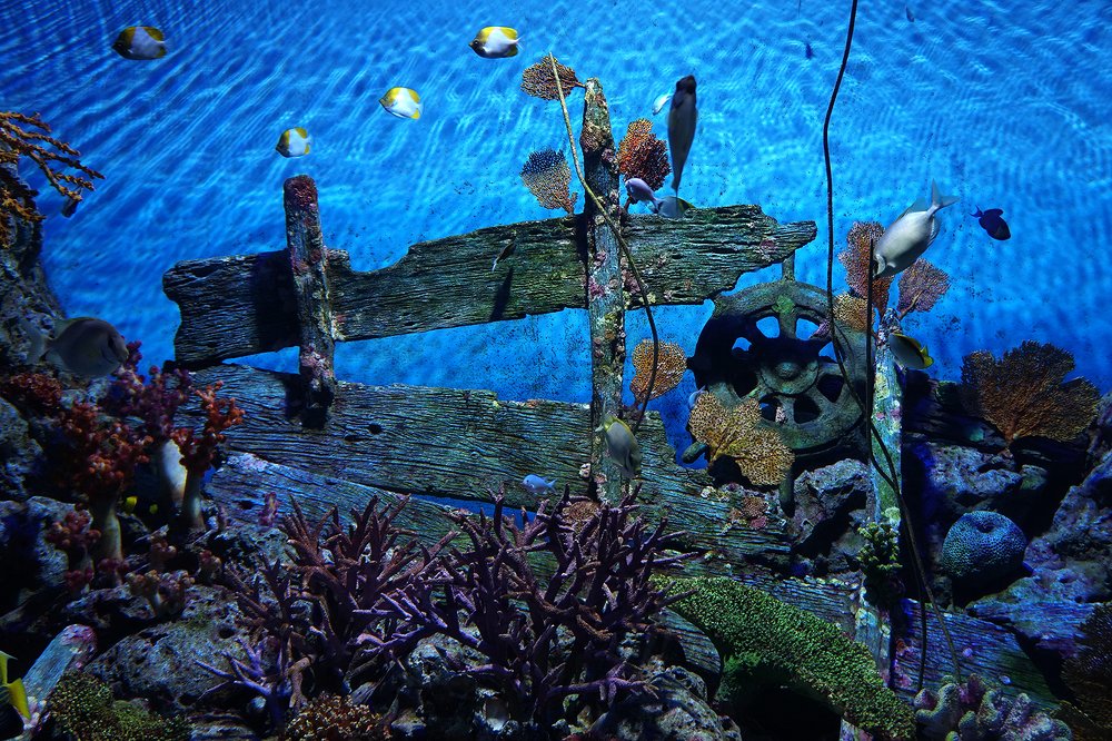 Photograph by Dzianis Mizhui