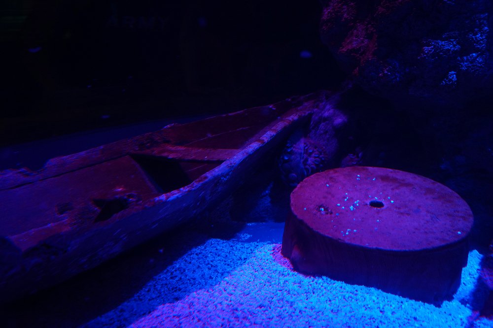 Photograph by Dzianis Mizhui