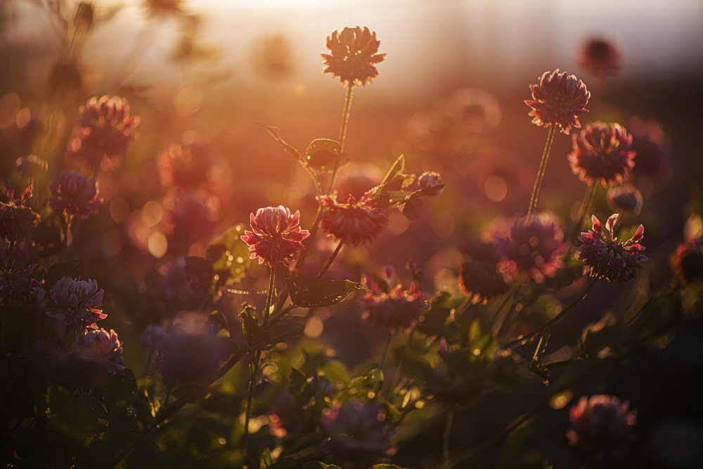 Валдайский национальный природный парк