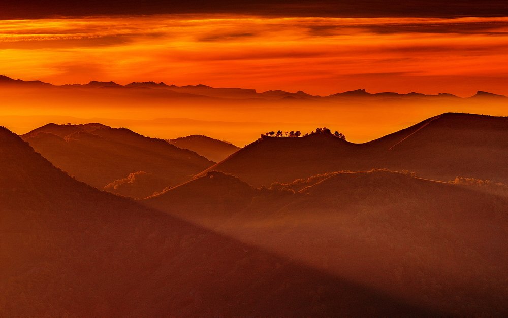 ОРАНЖЕВЫЙ ВЕЧЕР