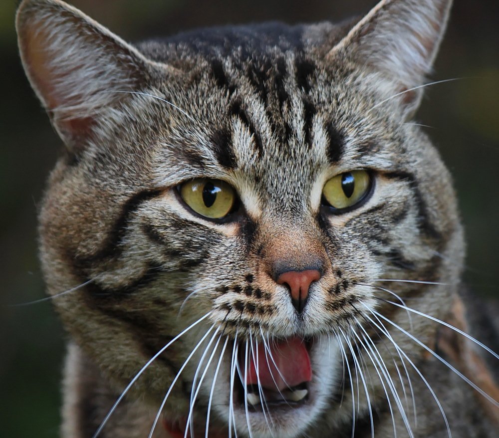 Не выспался