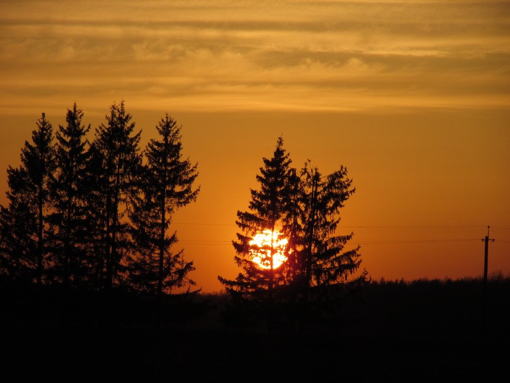 Photo #3460873