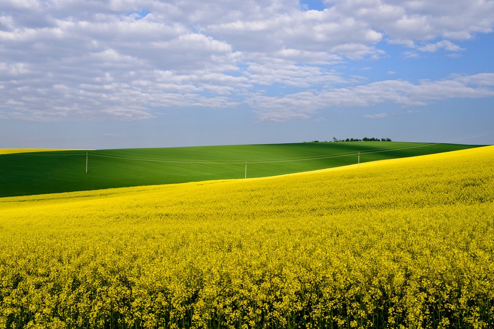 Moravia I
