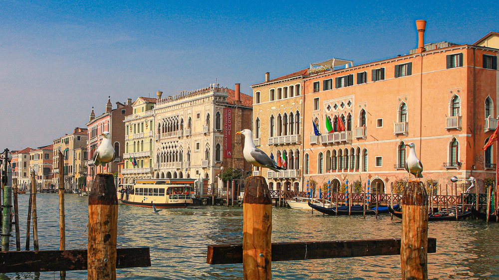 На страже Венеции Дивной