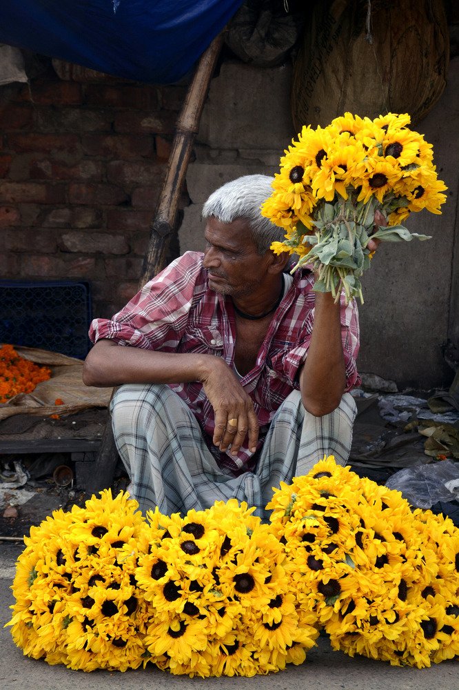 COLOUR OF LIVINGHOOD