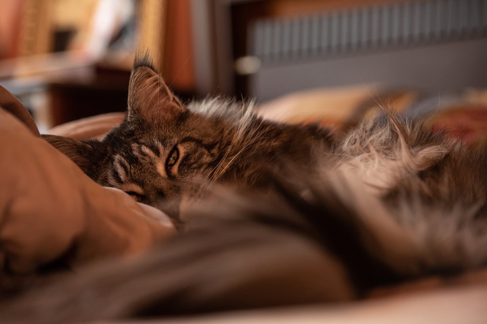 Фотография автора Артур Кондуфор