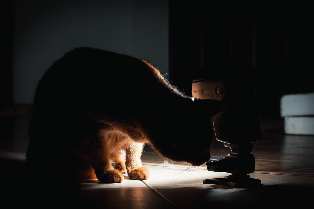 Фотография автора Артур Кондуфор