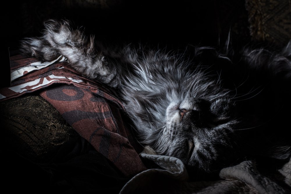 Фотография автора Артур Кондуфор